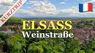 Kurztrip Elsass: Wir wohnen an der Weinstraße!