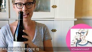 MY FAVORITE under $100 CALIFORNIA PINOT NOIR'S. Daily Vlog, EP. 12