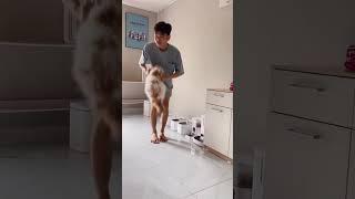 Sisi lain Paw si kucing CEBOL  Part 2