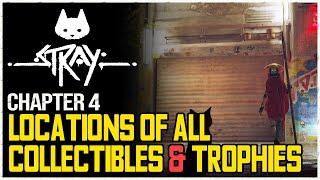 Stray All Chapter 4 Collectibles & Achievements