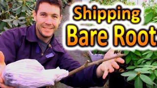 How do You Mail Bare Root Plants | With Unboxing