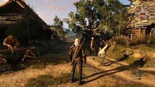 Witcher 3 - HD Reworked NextGen Edition | 7900 XTX, 7950x3D, 1440p, Max