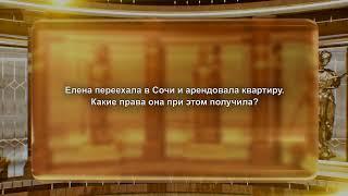 Зал суда. Юридическая разминка "Сам себе адвокат". Эфир 01.06.2024