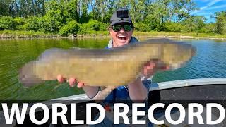 We caught a WORLD RECORD Fish!!!