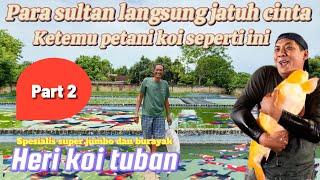 Part 2 ‼️ Bisa jadi rebutan para sultan ketemu petani koi seperti ini‼️Heri koi tuban - koi pantura