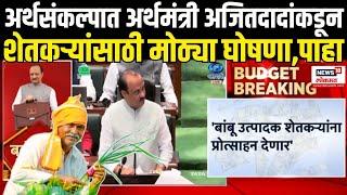 Finance Minister Ajit Pawar On Farmers: शेतकऱ्यांसाठी बजेटमध्ये काय? Maharashtra Budget 2025