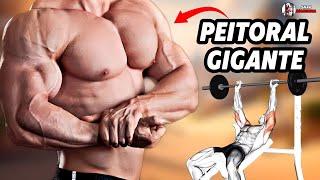 ⭕ CONSIGA UM PEITORAL GIGANTE COM ESSES EXERCÍCIOS - Treino de Peito