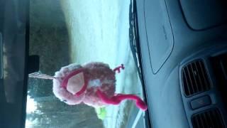 dancing pinkpig