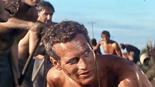 Cool Hand Luke (1967) ORIGINAL TRAILER