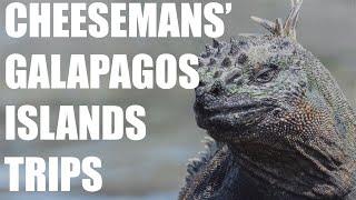 Explore the Enchanted Isles: Galapagos Islands Expedition | Cheesemans' Ecology Safaris