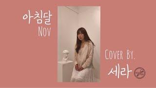 [뮤지션새끼]  Nov - 아침달 (Cover by  세라)