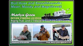 Bull Huss and Smoothhounds: Mean, Moody and Magnificent