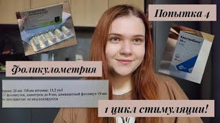 Стимуляция овуляции| Планирование 2 беременности, попытка 4 | Фоликулометрия| ДФ 19 мм| Мои ощущения