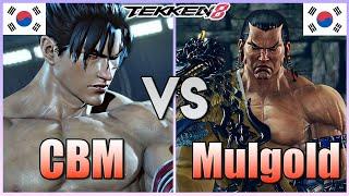 Tekken 8  ▰  CBM (#1 Jin Kazama) Vs MulGold (Feng) ▰ High Level Matches!