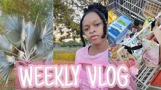 VLOG | Grocery Haul , farmers market ,  shopping and more | ALL THINGS NAE