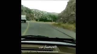 سلامتی همه ‌کوردی #کردستان#شوتی#شوتی ایران