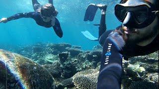 We hit the CORALS The Ningaloo Reef - Ocean Wolf Sailing  Ep. 9