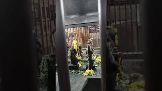 Астрология и здесь не дает себя забыть