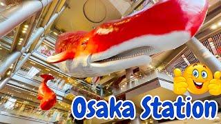 Exploring Osaka Station And Umeda Area, Interesting Place to Visit In Osaka Japan