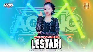 Cantika Davinca ft Ageng Music - Lestari (Official Live Music)