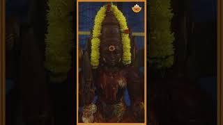 Mysuru Bettadalli Devige | ಮೈಸೂರು ಬೆಟ್ಟದಲ್ಲಿ ದೇವಿಗೆ | Chamundi Songs | Rashmi Balu | @SVDPushpam