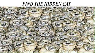Find The Hidden Object In Picture | Hidden Object Game | AR Entertainment