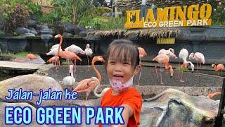 Eco Green Park | Jatim Park 2 | Batu Malang