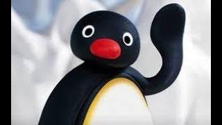 Pingu Cussing & Being Crazy Compilation (WATCH ONLY IF YOUR IQ IS OVER 200)
