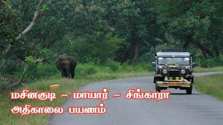 Masinagudi - Moyar - Singara Dense Forest Drive | Jolly Trip