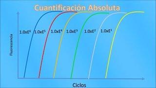 PCR en tiempo real (qPCR): Conceptos Básicos