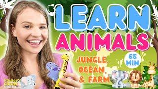 Learn Animals for Toddlers - Jungle Animals for Kids | Best Toddler Learning Video | Videos for Kids