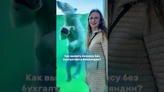 Как выжить бизнесу без бухгалтера #бухгалтервфинляндии #бизнесвфинляндии