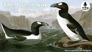 The Extinction of the Great Auk: The Original Penguin