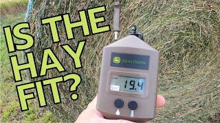 Fit Check.... Is the Alfalfa ready to be baled???? Watch how Clint figures out if it's go time!