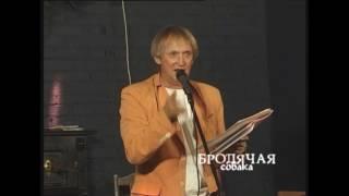 Почему Бродячая Собака?