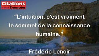 Frédéric Lenoir - L'intuition, c'est vraiment le sommet de la connaissance humaine.