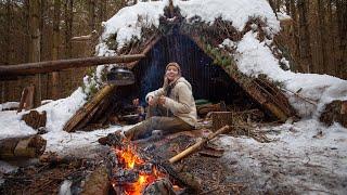 My 1st SOLO Winter Overnight! Bushcraft Shelter, Cooking on Coals, Campfire Breakfast