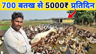 1 एकड़ से भी कम जमीन से 5000₹ रोजाना | Duck farming in india