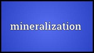 Mineralization Meaning