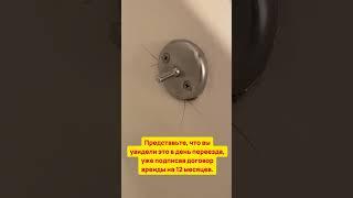 Представьте, что увидели ЭТО в день переезда, уже подписав договор аренды на 12 месяцев