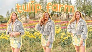 Tulip farm in Japan - Blumen Hügel | Spring season