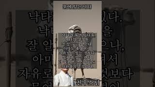 묶여 있는 낙타 － 진우스님의 오늘의 명상  #불교 #명상 #진우스님 #참선