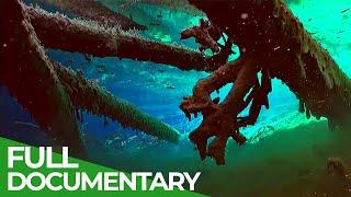 The Fascinating World of Deep Alpine Mountain Lakes | Free Documentary Nature