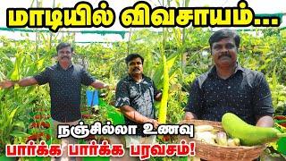 Cancer-க்கு பலியான அம்மா  மாடியில் இயற்கை விவசாயம் செய்யும் மகன் | Terrace Garden