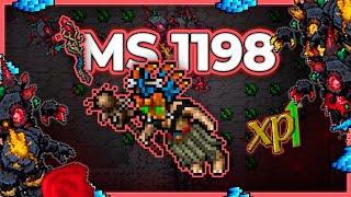 MS 1198 Hunt x4 Darklight Core 17kk/h Raw + 5.6kk Profit - Tibia Hunt [13.40] #tibia #tibiahunt