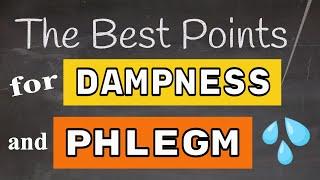 Best Acupuncture Points for Dampness & Phlegm