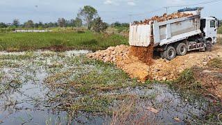 Perfect Start Project.! Huge Landfill by Bulldozer D65PX Komatsu push Land, Big Truck Loading