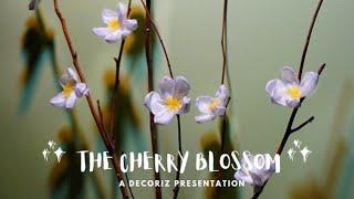 DIY cherry blossom paper craft |How to make cherry blossom flower|tissue paper flower