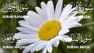 Surah Yaseen ️ Surah Rahman ️ Surah Mulk ️ Surah Waqiah Beautiful Voice ️ Heart Soothing