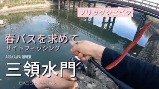 【荒川バス釣り】三領水門でスレまくりのブラックバスに対してサイトフィッシングしてみた